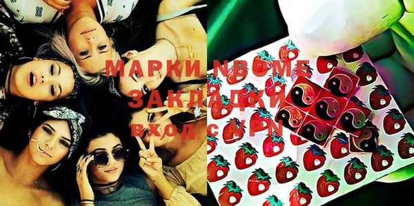 шишки Ельня