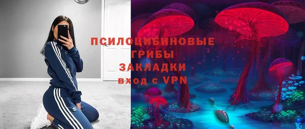 шишки Ельня