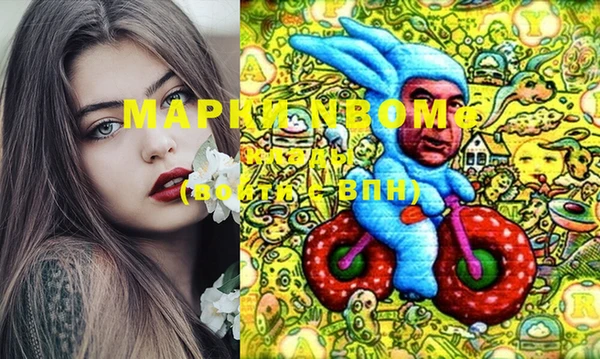 кокс Елизово