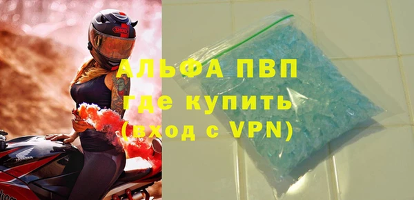 стаф Дмитриев