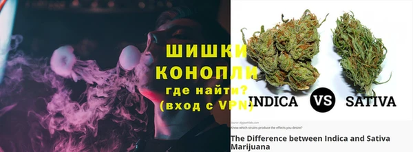 шишки Ельня