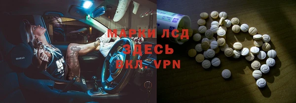 шишки Ельня