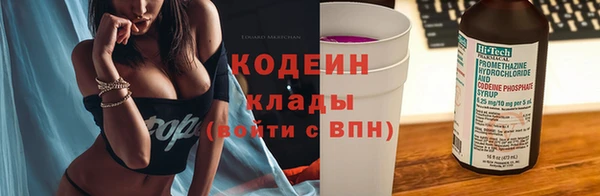 кокс Елизово