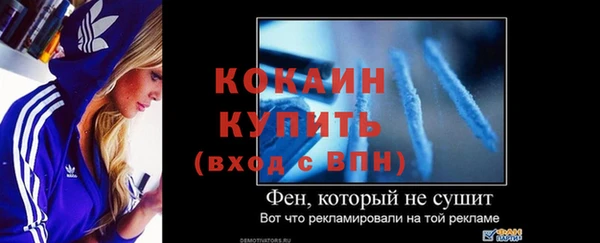 кокс Елизово