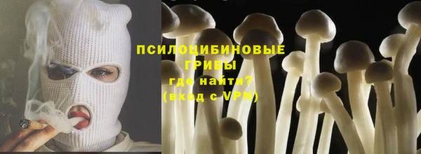 шишки Ельня