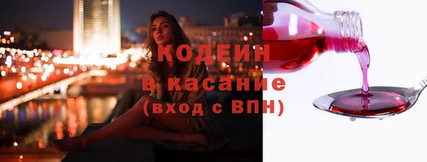 шишки Ельня