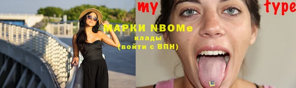 кокс Елизово
