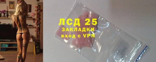 шишки Ельня