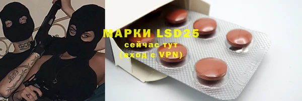 шишки Ельня