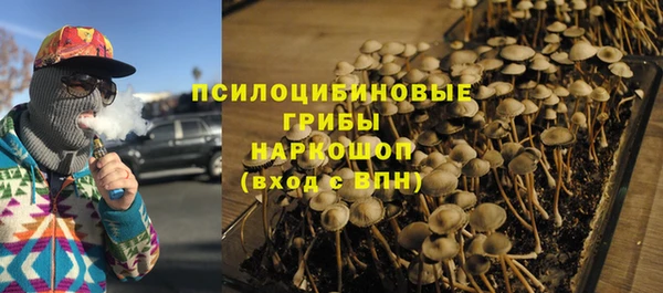 бутират Елабуга