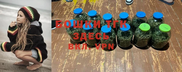 бутират Елабуга