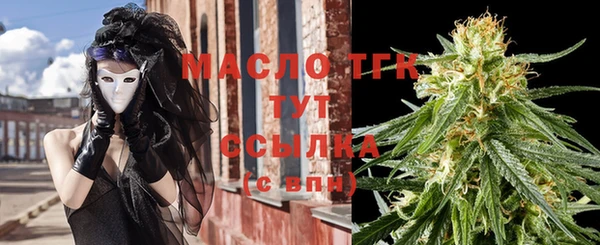 шишки Ельня