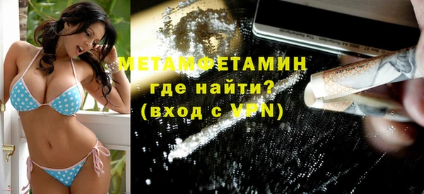 шишки Ельня