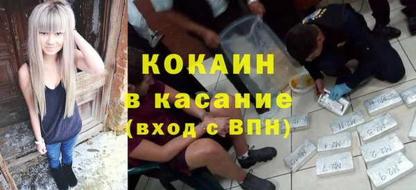 шишки Ельня