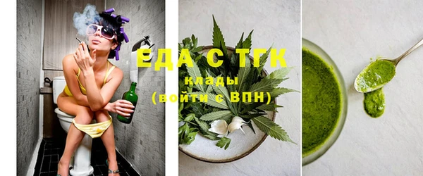 шишки Ельня
