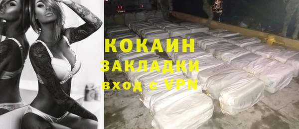 шишки Ельня