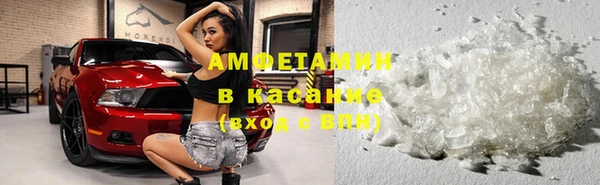 шишки Ельня