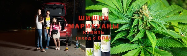 шишки Ельня