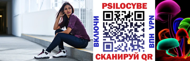 Купить  Лыткарино  Псилоцибиновые грибы Psilocybe 